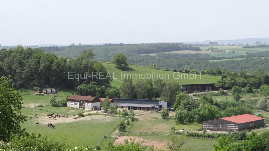 Reitanlage mit 18ha Eigengrund bei Zweibrücken
